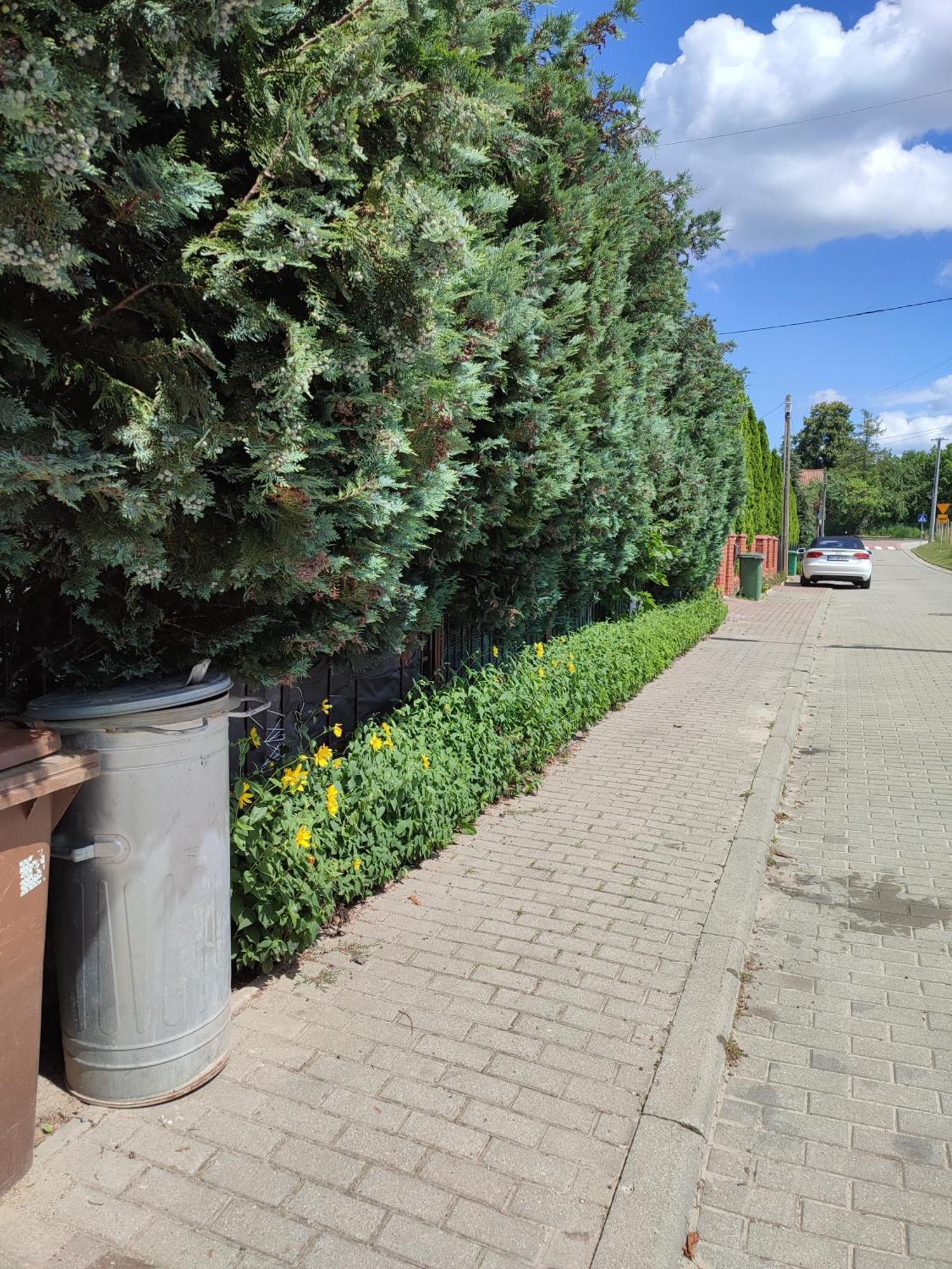 Daleko Od Szosy Mikolajki (Mragowo)